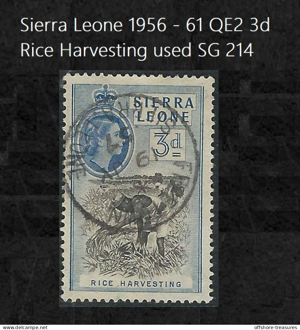 British Colonies; Sierra Leone 1956 - 61 QE2 3d Rice Harvesting Used SG 214 - Sierra Leone (...-1960)
