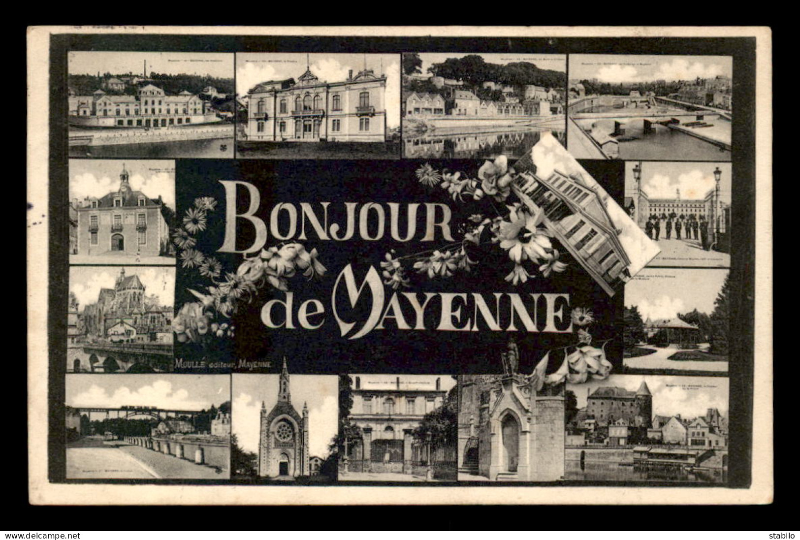 53 - MAYENNE - BONJOUR MULTIVUES - Mayenne