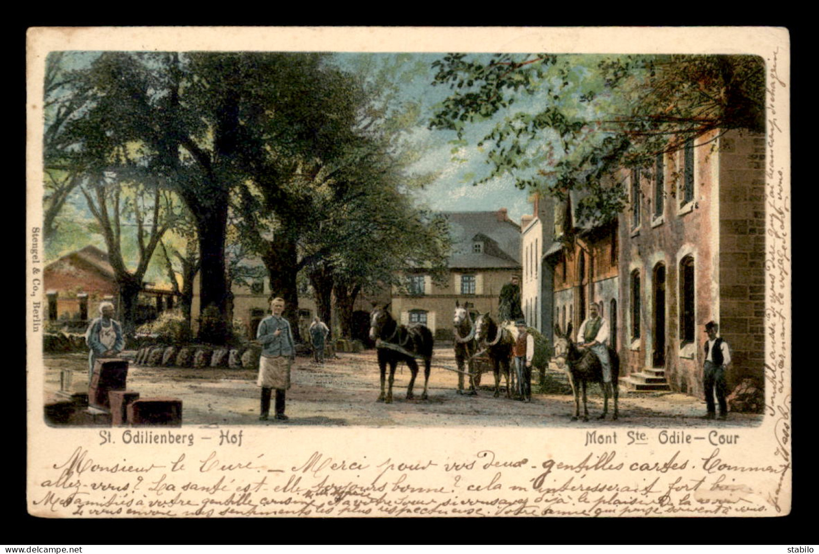 67 - MONT SAINTE-ODILE - COUR - CHEVAUX - ANES - CARTE COLORISEE - Sainte Odile