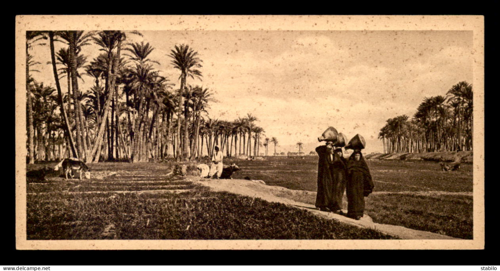 EGYPTE - LENHERT & LANDROCK N°26 - NATIVE WOMEN - FORMAT 15 X 7.5 CM - Personen