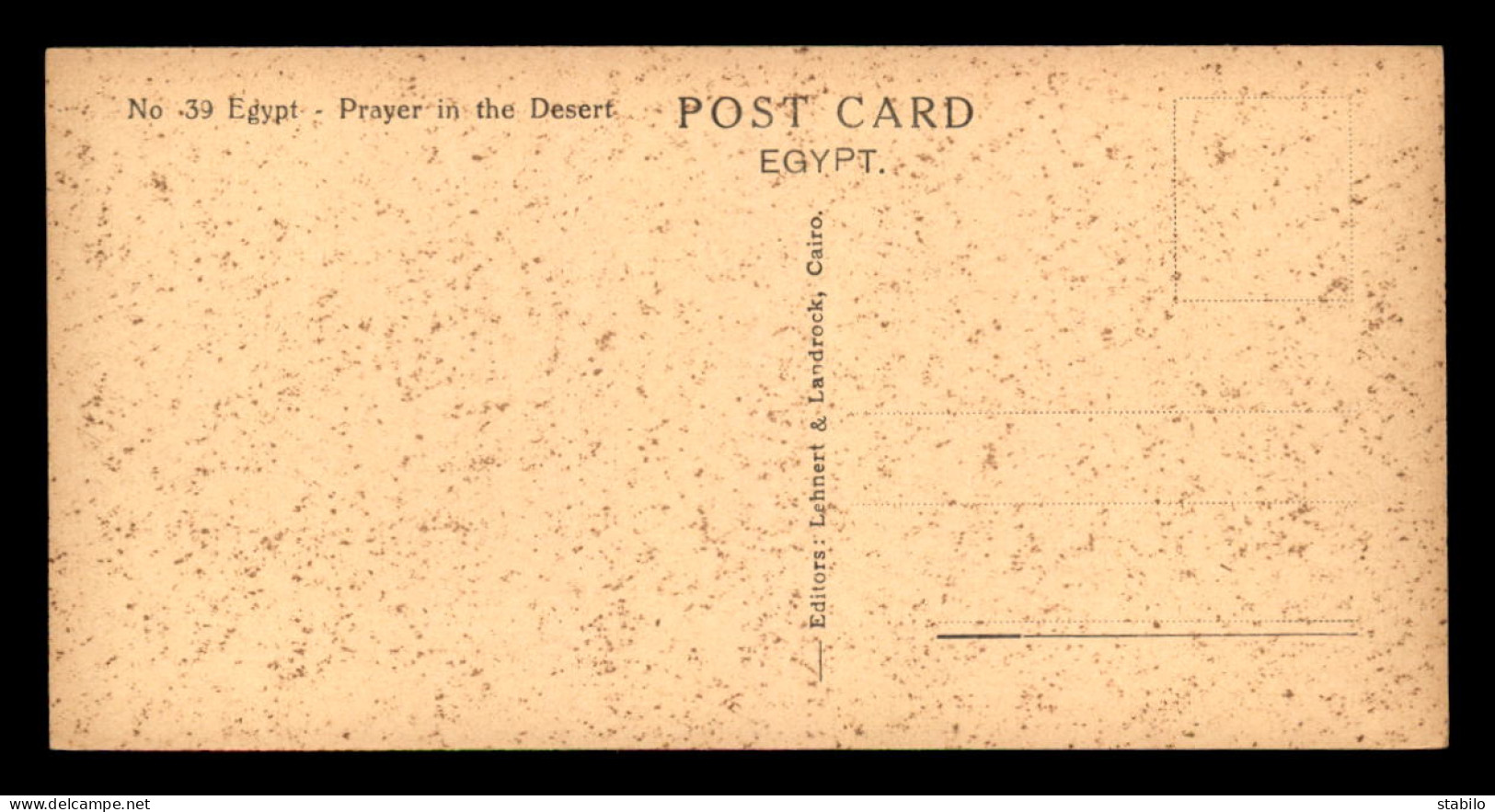 EGYPTE - LENHERT & LANDROCK N°39 - PRAYER IN THE DESERT - CHAMEAUX - FORMAT 15 X 7.5 CM - Autres & Non Classés