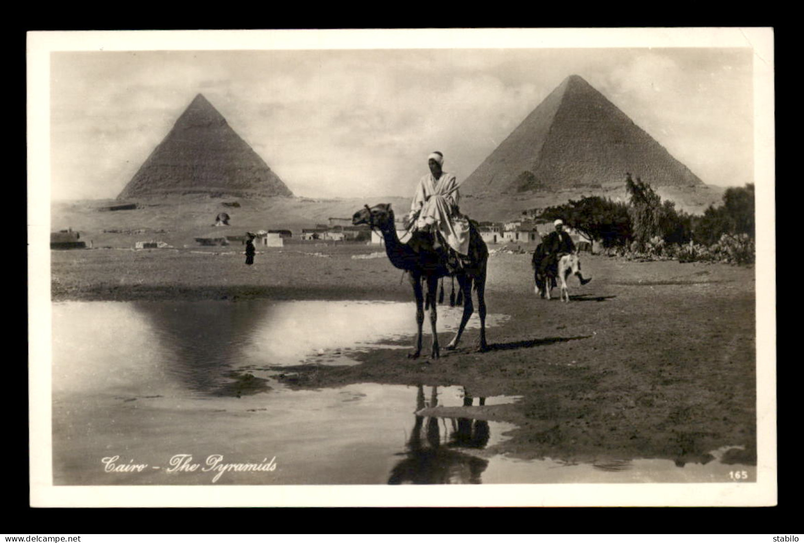 EGYPTE - LENHERT & LANDROCK N°165 - CAIRO - THE PYRAMIDS - CHAMEAUX - Le Caire