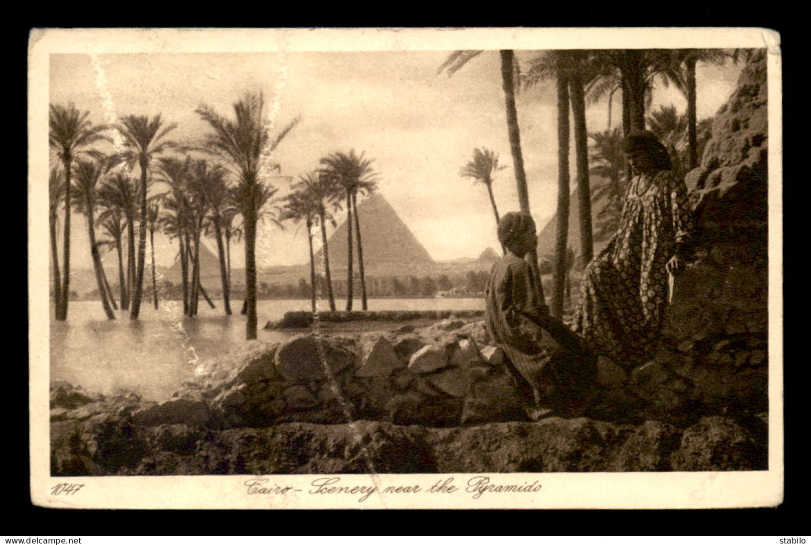 EGYPTE - LENHERT & LANDROCK N°1047 - CAIRO - THE PYRAMIDS - Kairo