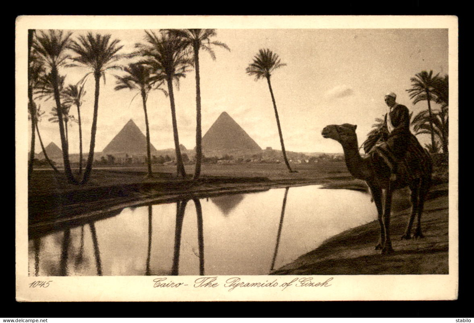 EGYPTE - LENHERT & LANDROCK N°1045 - CAIRO - THE PYRAMIDS - El Cairo
