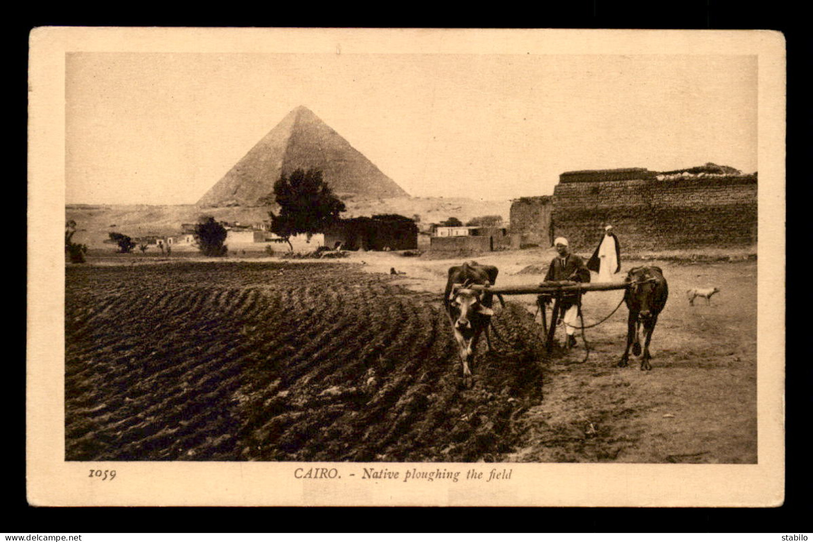 EGYPTE - LENHERT & LANDROCK N°1059 - CAIRO - NATIVE PLOUGHING THE FIELD - El Cairo