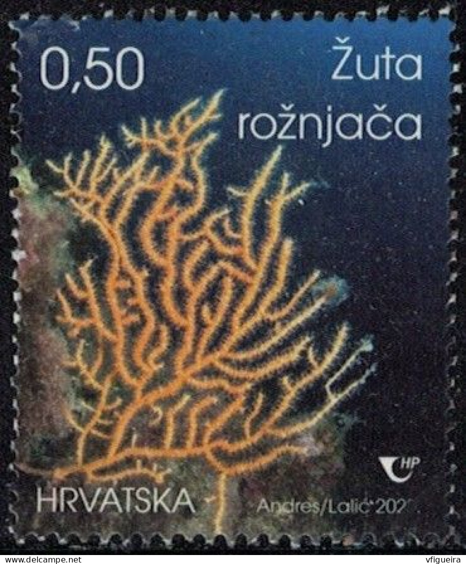 Croatie 2020 Used Biologie Maritime Eunicella Cavolini Gorgone Jaune Y&T HR 1332 SU - Croatia