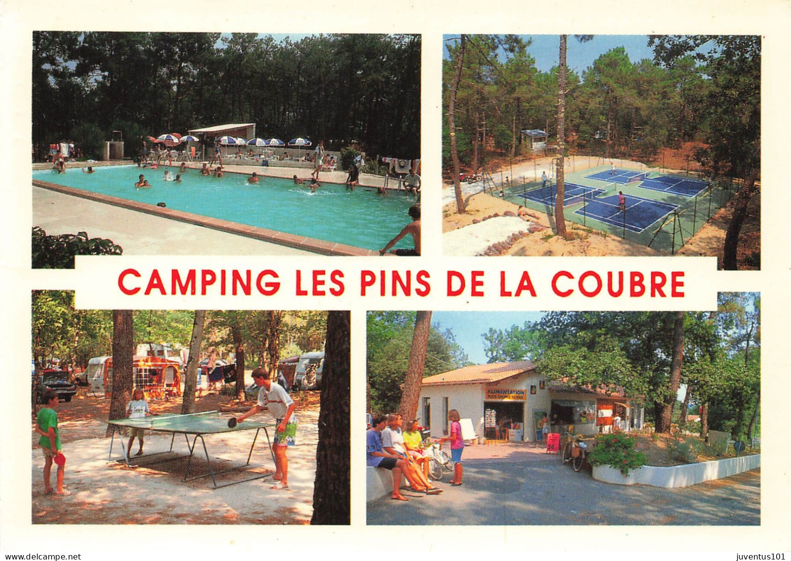 CPSM Les Mathes-La Palmyre-Camping Ombragé Les Pins De La Coubre-Timbre-RARE    L2897 - Les Mathes