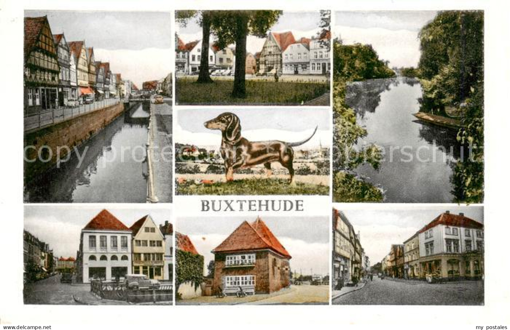 73829555 Buxtehude Teilansichten Dackel Buxtehude - Buxtehude