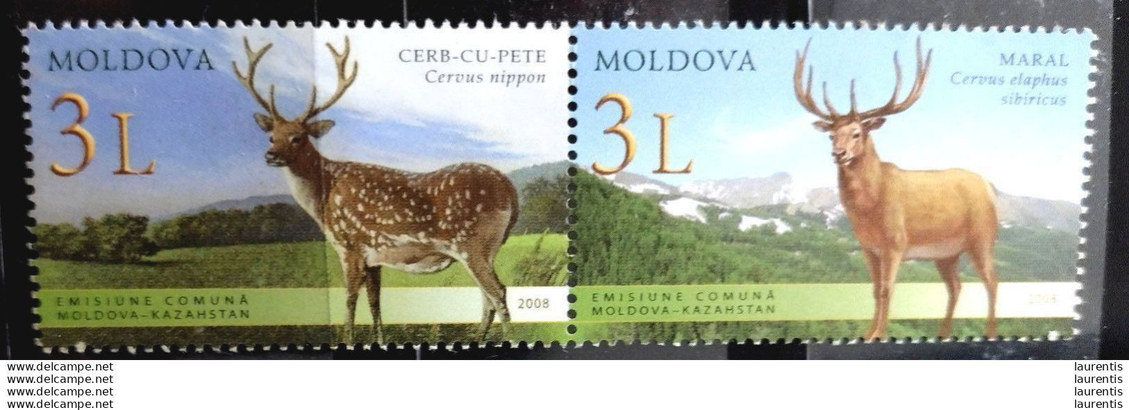 D2860   Hunting - Deers - Moldova 2008 MNH - 1,50 - Selvaggina