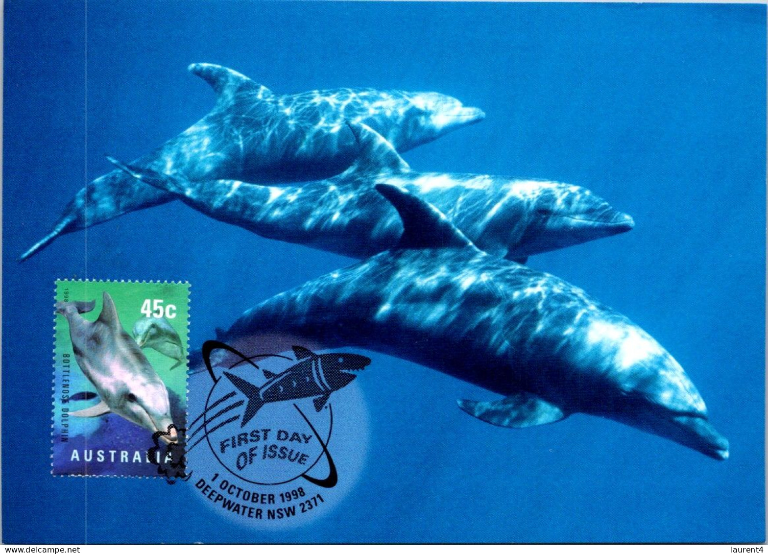 5-5-2024 (4 Z 11) Australia (1 Card) Maxicard - Bottlenose Dolphins - Cartas Máxima