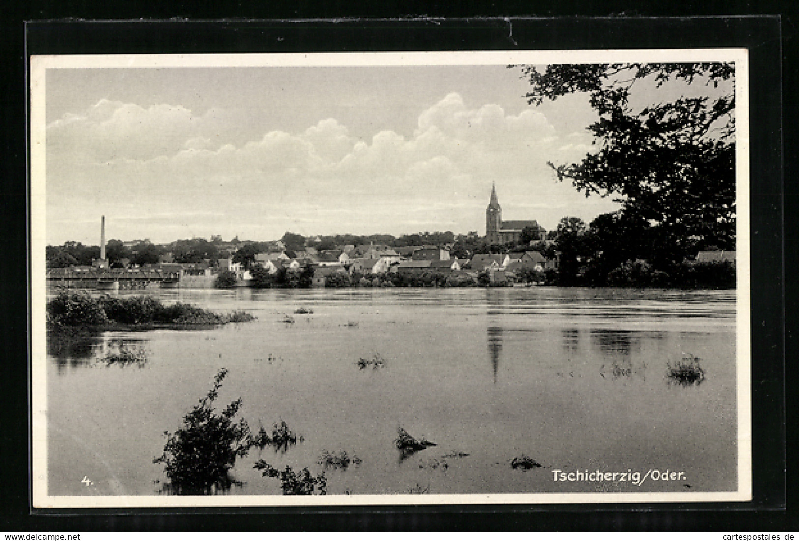 AK Tschicherzig /Oder, Panorama Und Flusspartie  - Other & Unclassified