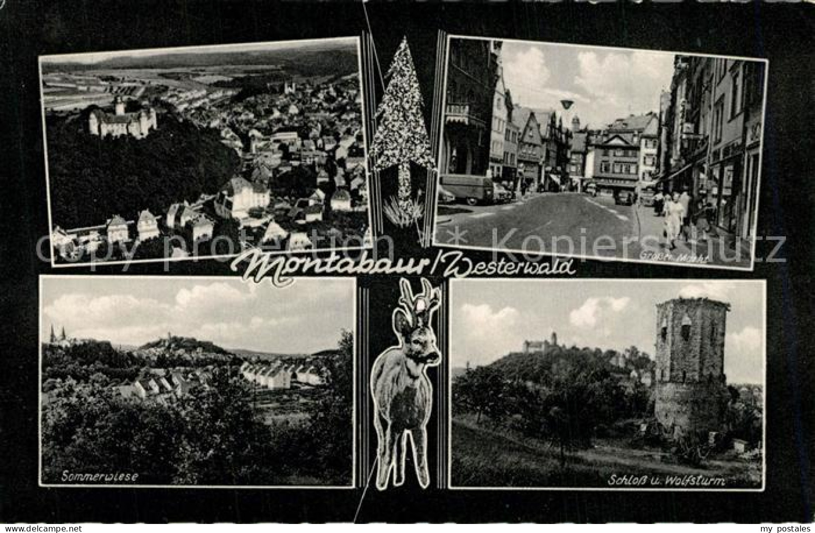 73369711 Montabaur Westerwald Sommerwiese Schloss Wolfsturm Grosser Markt Montab - Montabaur