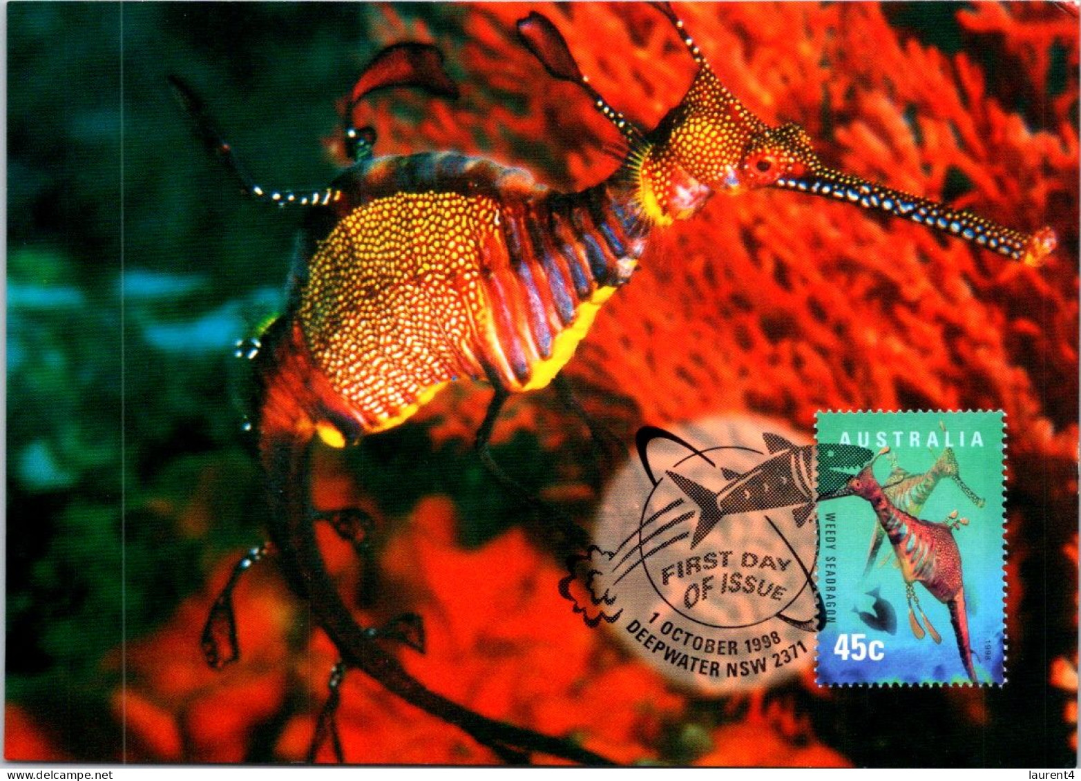 5-5-2024 (4 Z 11) Australia (1 Card) Maxicard - Weedy Seadragon (Seahorse Or Hippocampe) - Cartes-Maximum (CM)