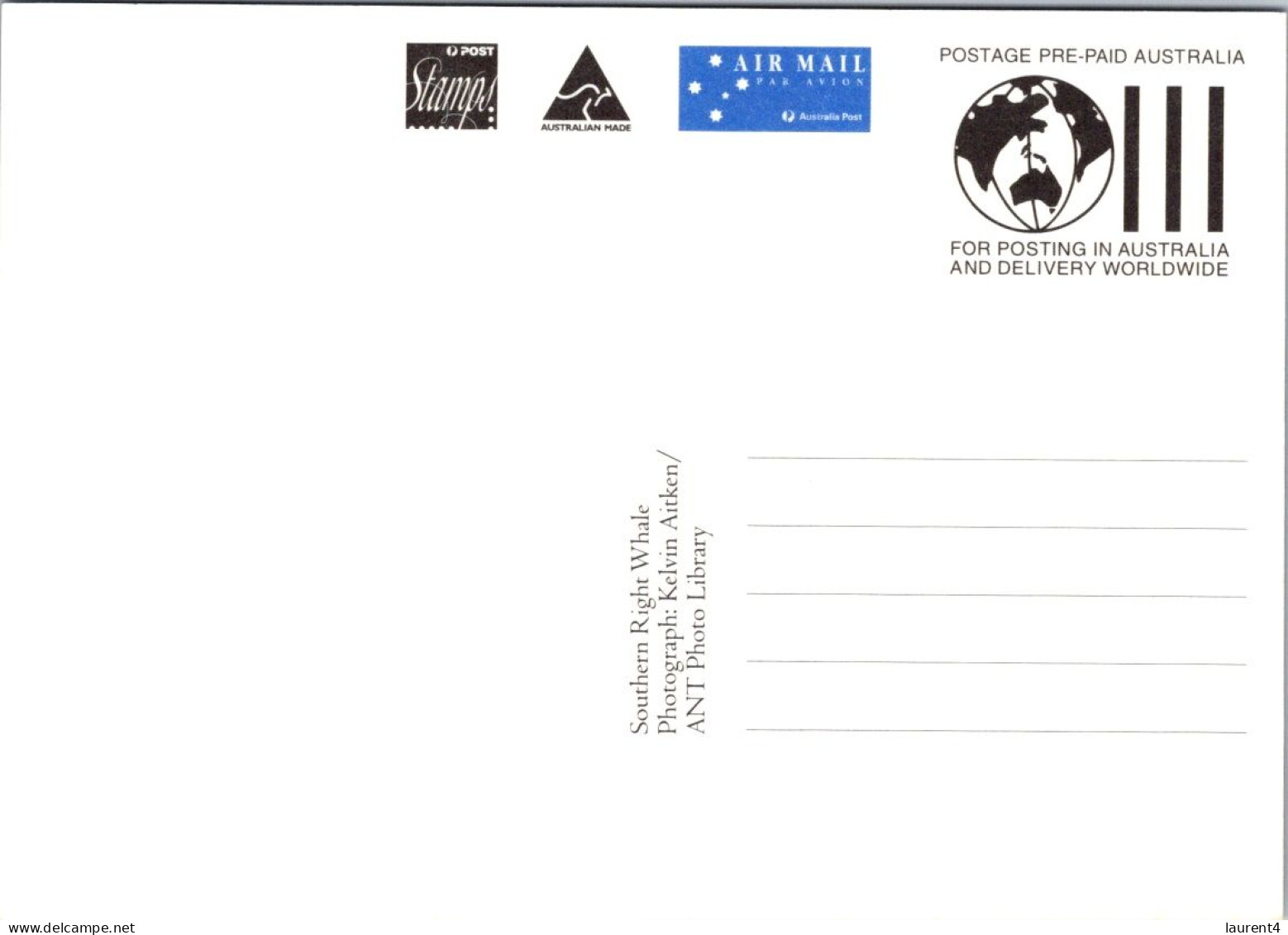 5-5-2024 (4 Z 11) Australia (1 Card) Maxicard - Southern Right Whale - Cartoline Maximum