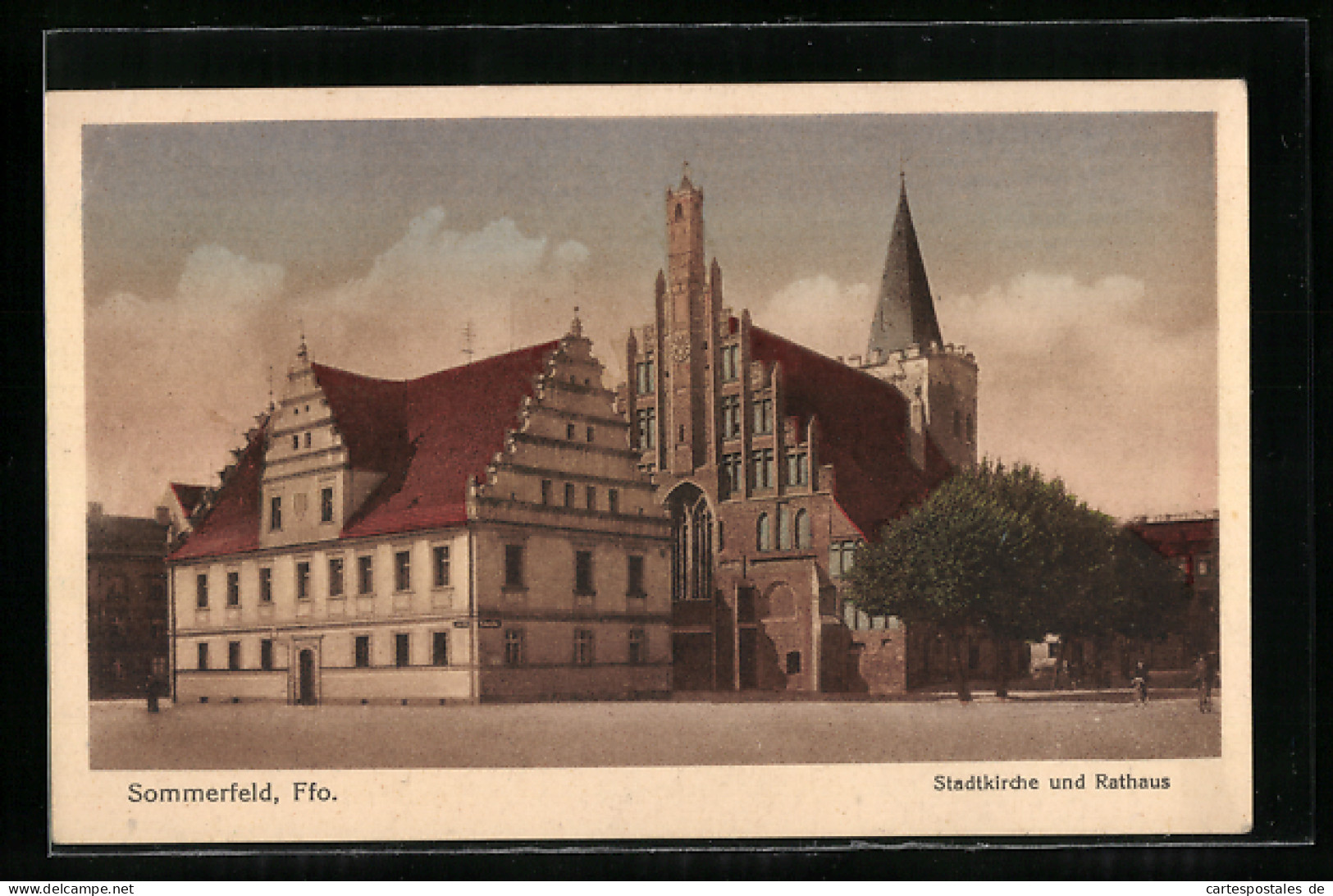 AK Sommerfeld, Stadtkirche Und Rathaus  - Autres & Non Classés