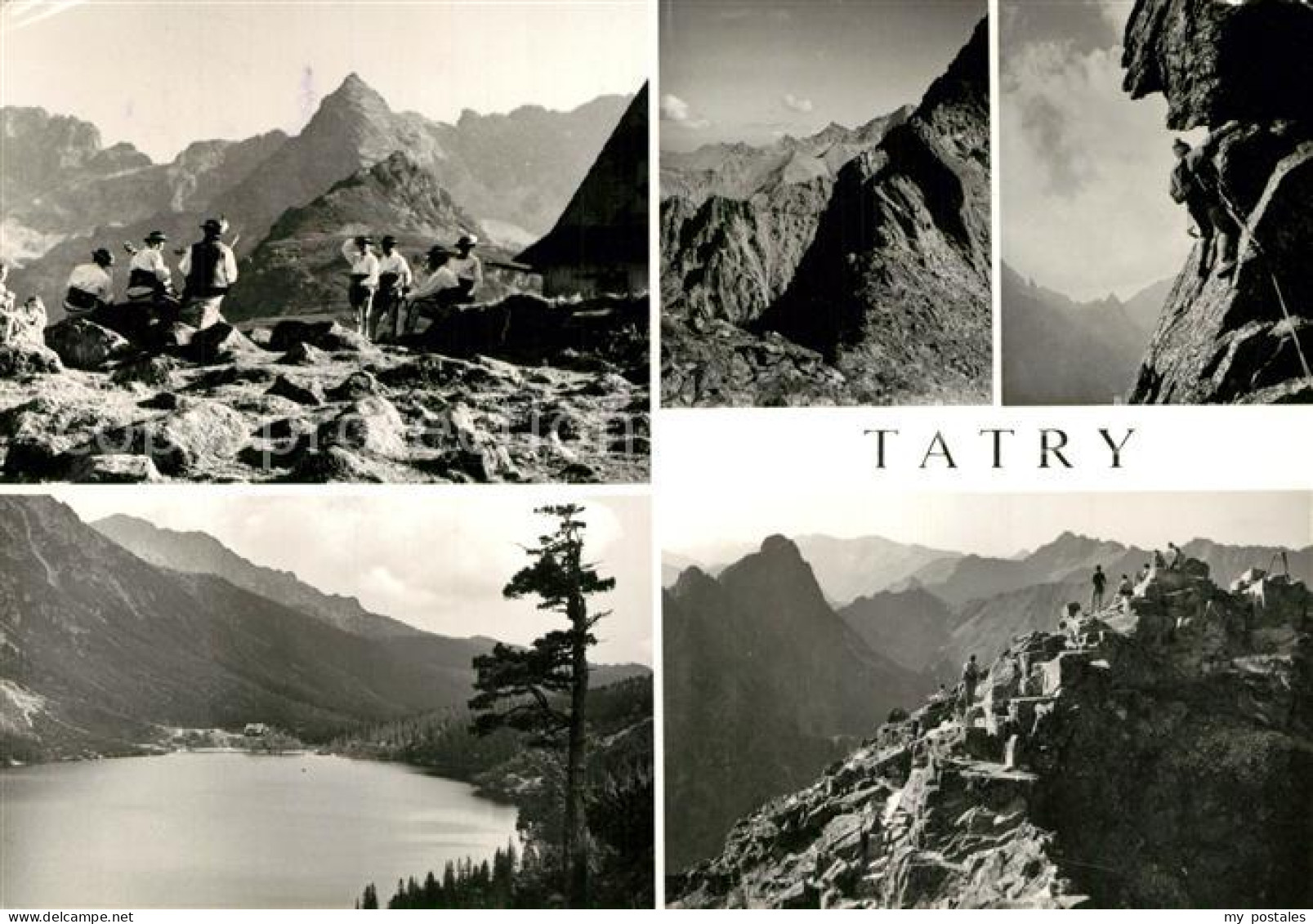 73365836 Tatry Vysoke Gebirge Hala Gasienicowa Morskie Oko Hinzowa Przelecz Traw - Slovakia