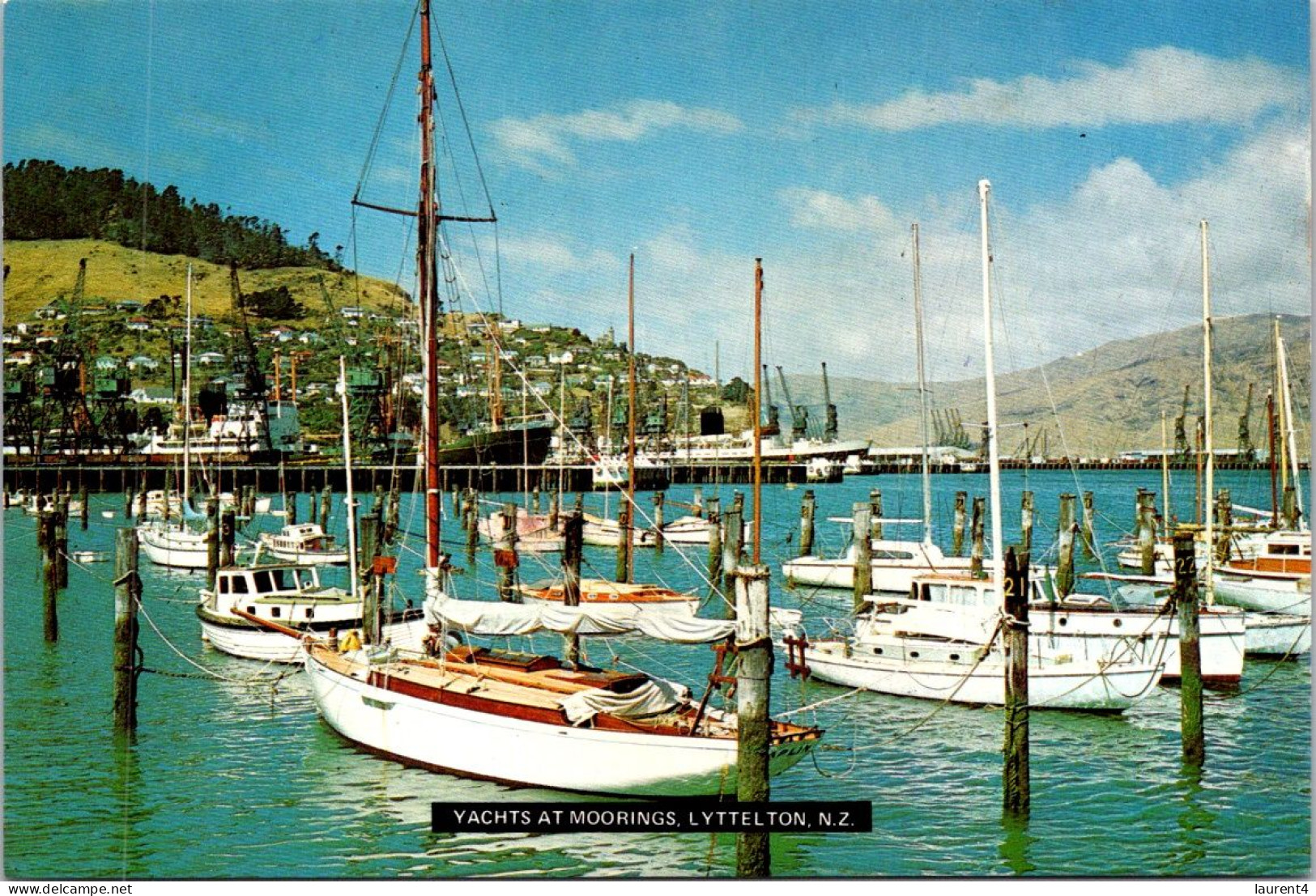 5-5-2024 (4 Z 13) New Zealand  - Yachts In Lyttelton - Nouvelle-Zélande