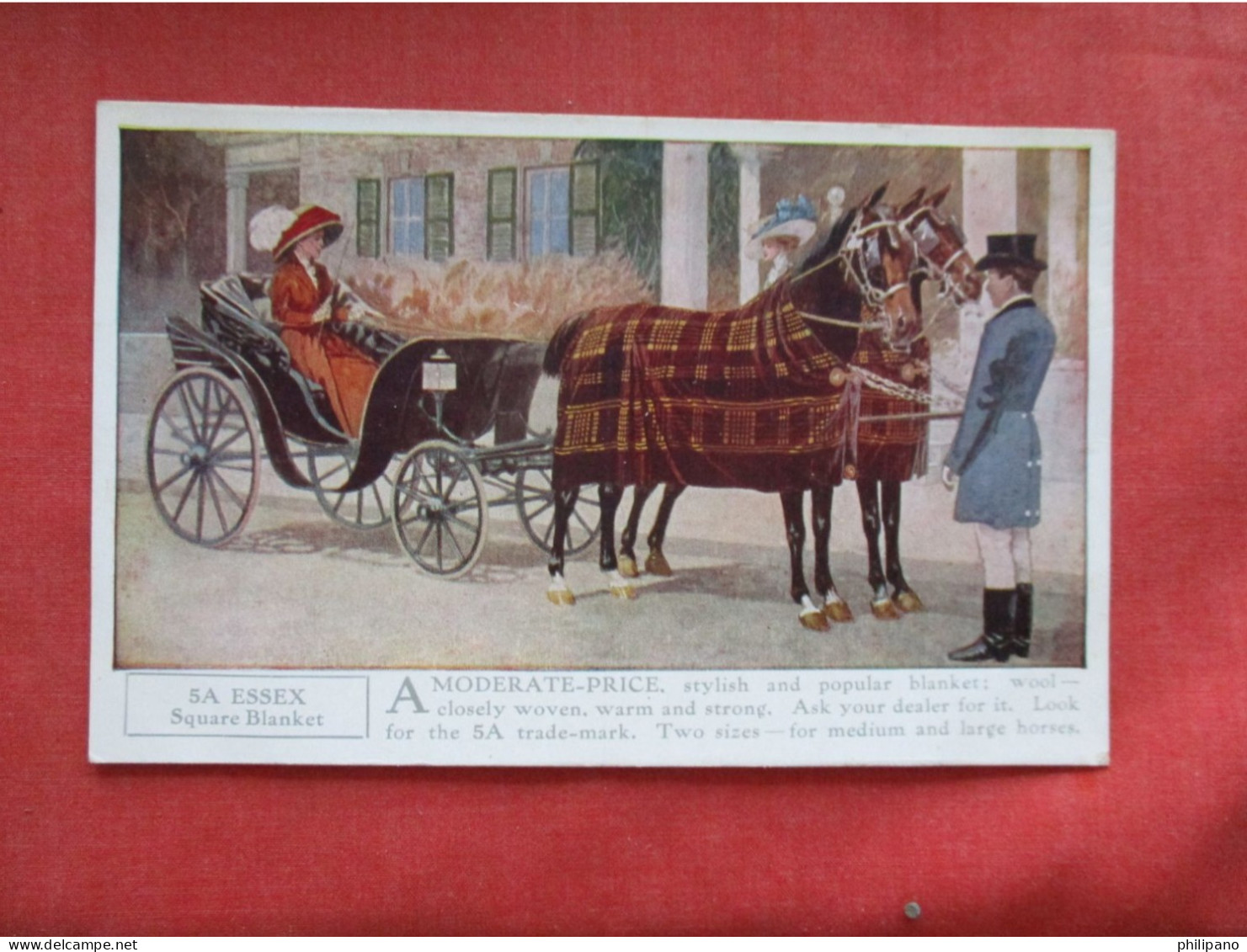 Horse Blanket Advertisement SA Essex   Ref 6400 - Advertising