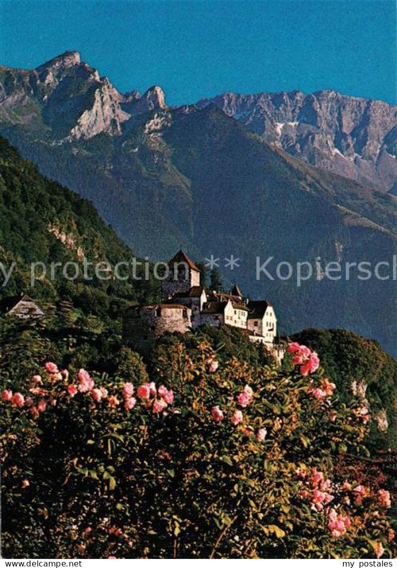 73360748 Liechtenstein  Schloss Vaduz  - Liechtenstein