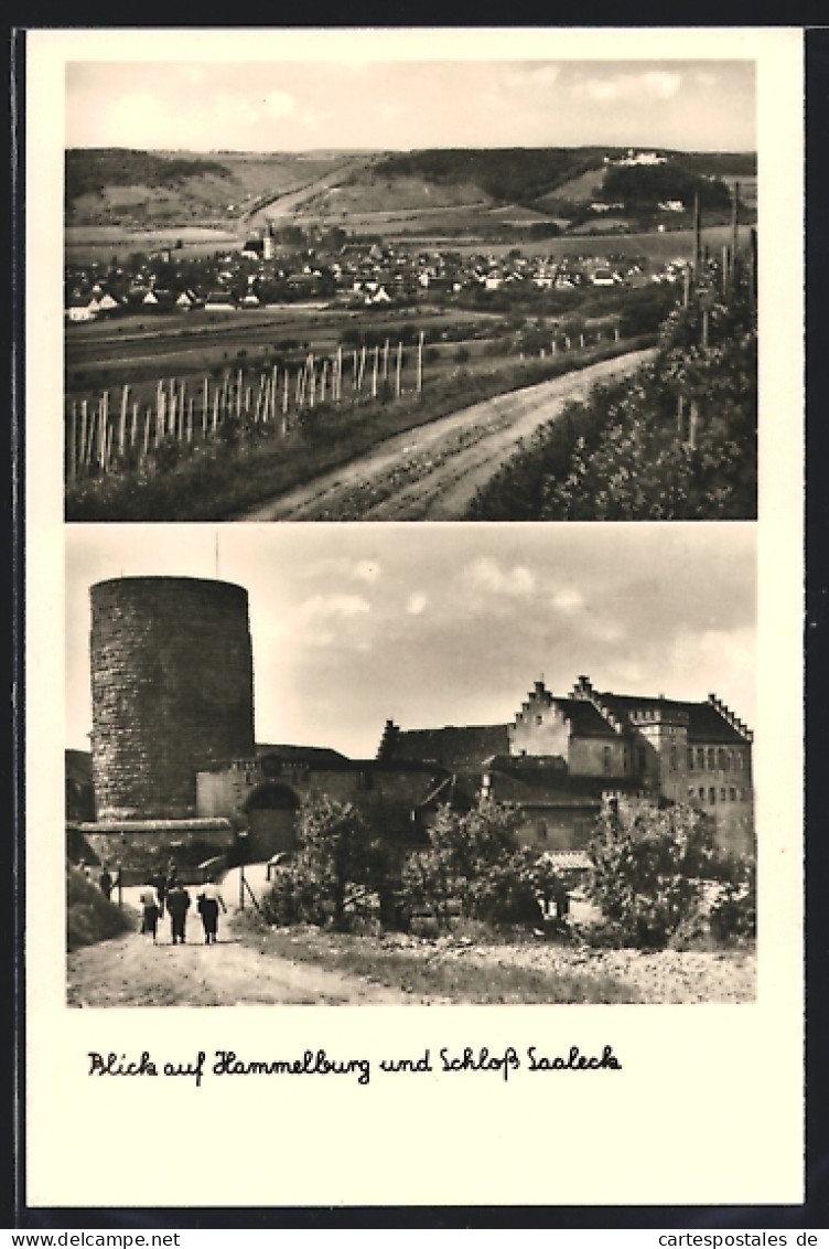 AK Hammelburg, Blick Auf Hammelburg Und Schloss Saaleck  - Hammelburg