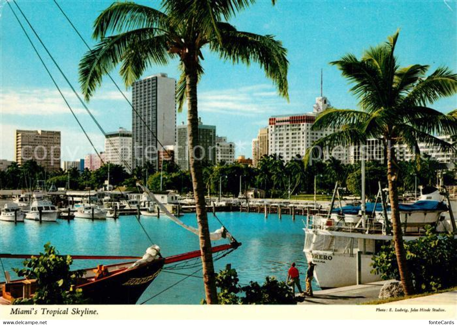 73300615 Miami_Florida Tropical Skyline Harbour - Other & Unclassified