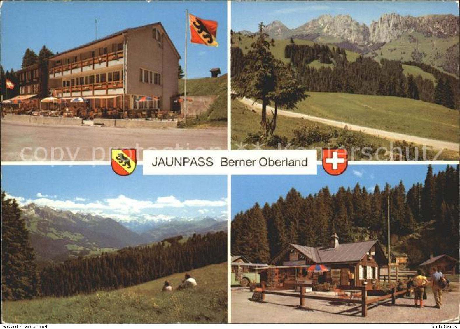 11852285 Jaunpass Hotel Des Alpes Simmental Gastlosen Jaunpass - Autres & Non Classés