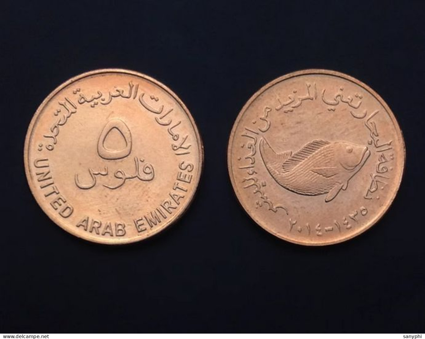 UAE 5 Fehr Coin KM#2.2 - Emirats Arabes Unis