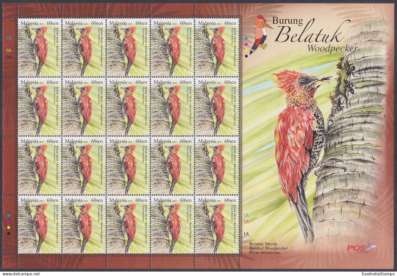 Malaysia 2013 MNH Banded Woodpecker, Bird, Birds, Burung Belatuk, Sheet - Malaysia (1964-...)