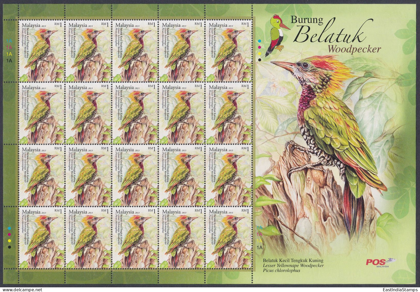 Malaysia 2013 MNH Lesser Yellownape Woodpecker, Bird, Birds, Burung Belatuk, Sheet - Malaysia (1964-...)