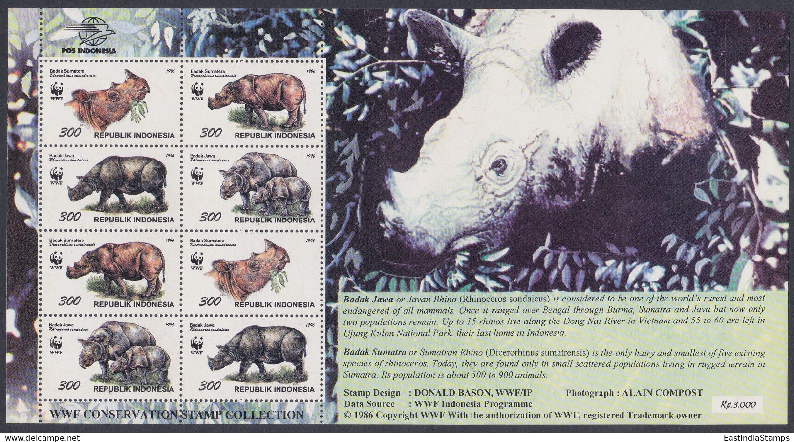 Indonesia 1996 MNH Sheet WWF, Rhino, Rhiboceros, Javan, Sumatran, Wildlife Wild Life, Endangered - Indonésie