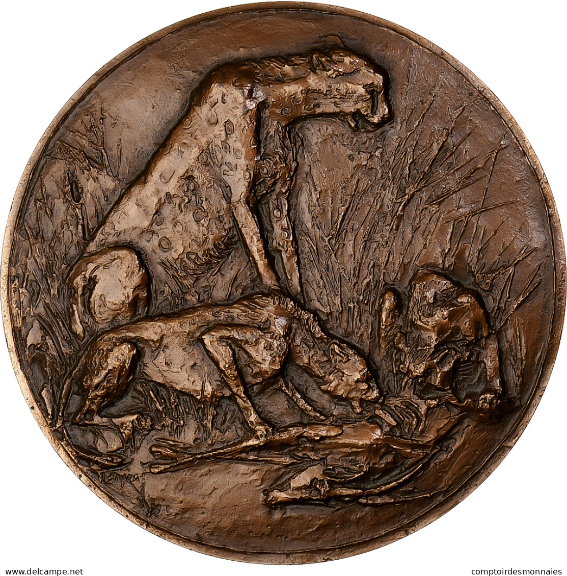 France, Médaille, Animaux, Le Guépard, 1982, Bronze, Boyer, SUP+ - Otros & Sin Clasificación
