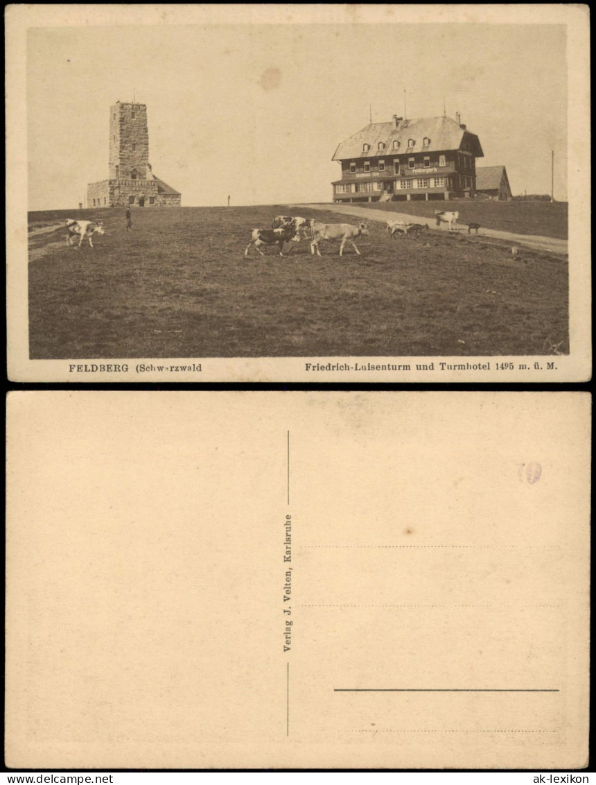 Feldberg (Schwarzwald)  Friedrich-Luisenturm Und Turmhotel 1920 - Feldberg