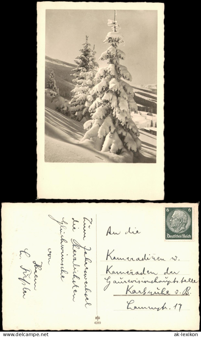 Winter-Ansicht (Schnee/Eis) Stimmungsbild Tannen Verschneit 1940 - Ohne Zuordnung