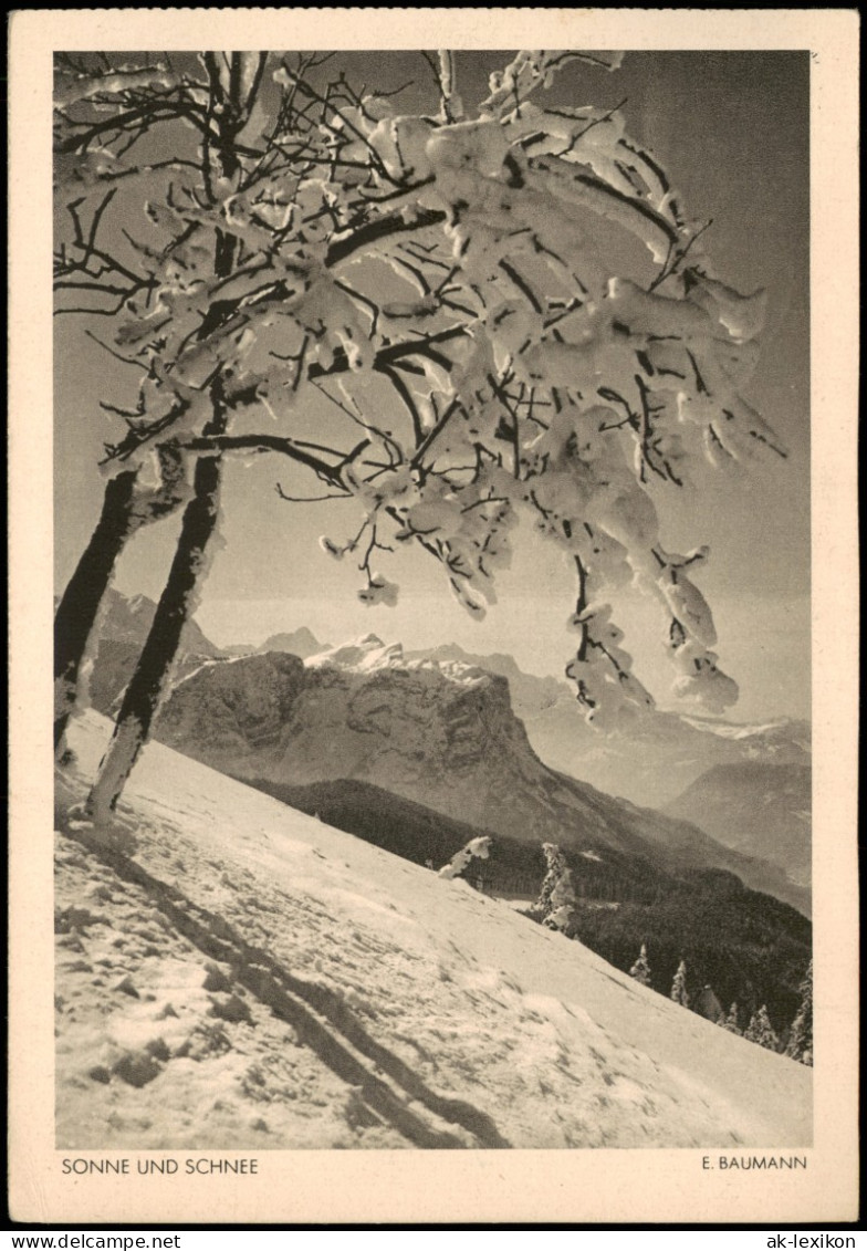 Fotokunst Und Natur Stimmungsbild E. Baumann "Sonne Und Schnee" 1938 - Ohne Zuordnung