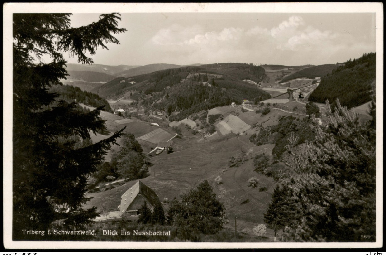 Ansichtskarte Triberg Im Schwarzwald Blick Ins Nussbachtal 1965 - Triberg