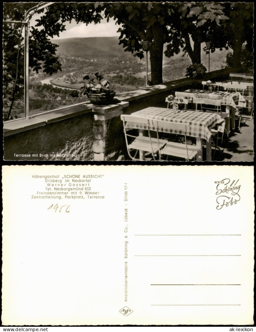 Neckargemünd Höhengasthof SCHÖNE AUSSICHT Terrasse Mit Blick Ins Neckartal 1956 - Neckargemünd