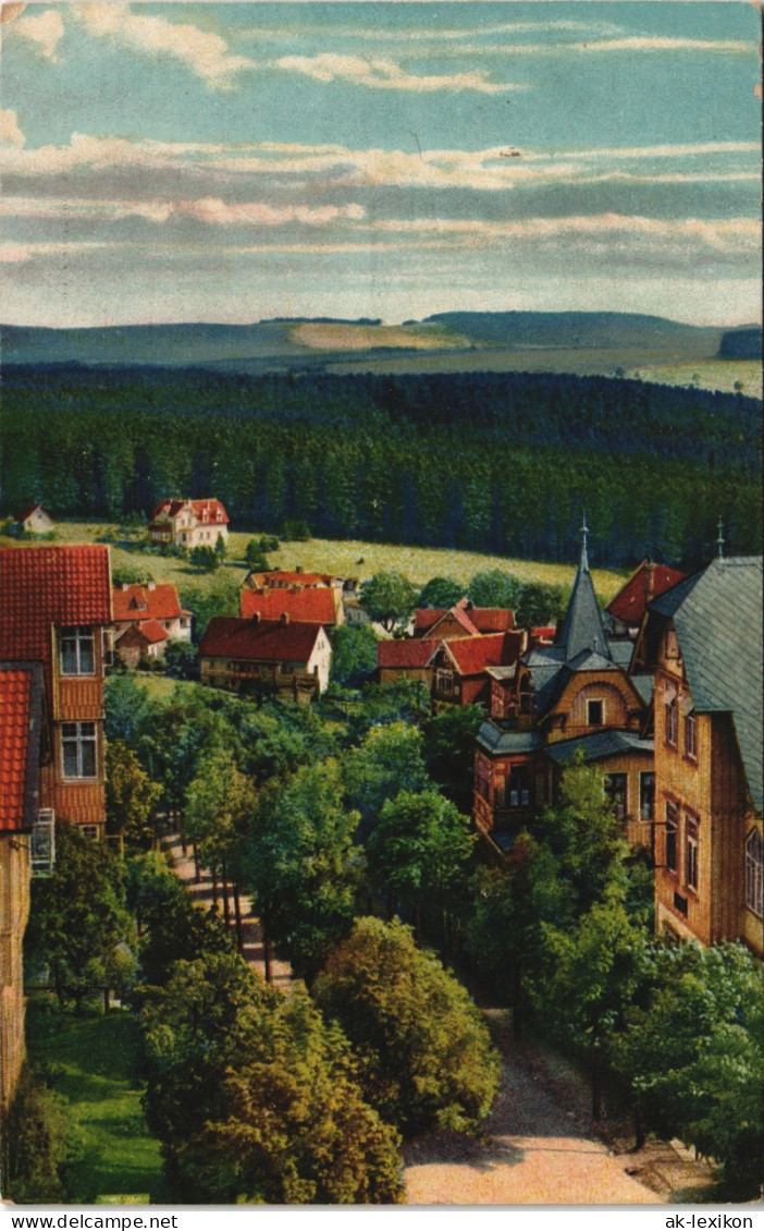 Ansichtskarte Braunlage Bergstraße, Naturfarben 1920 - Braunlage