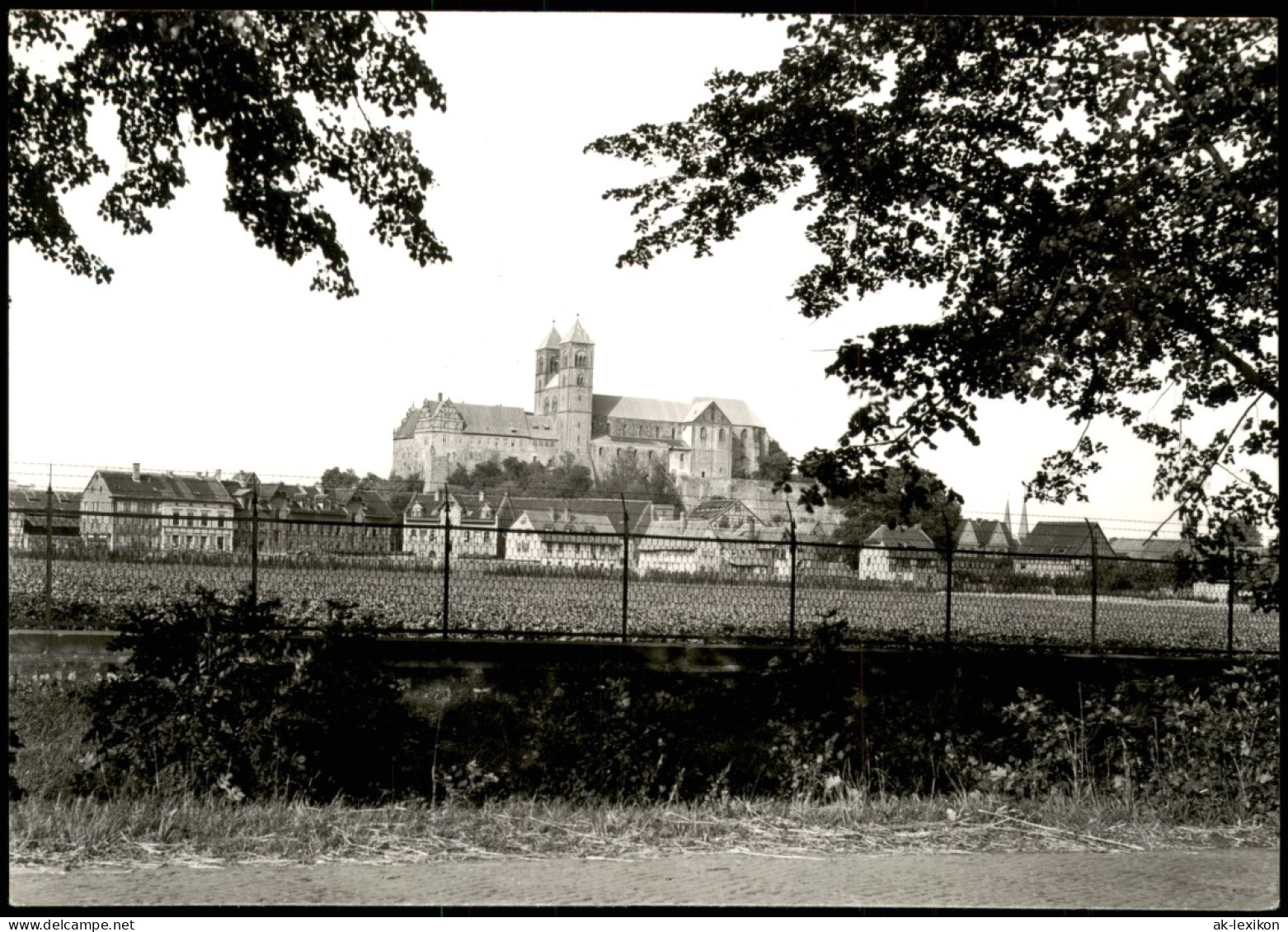 Ansichtskarte Quedlinburg Blick über Den Zaun Zum Dom 1960 - Andere & Zonder Classificatie