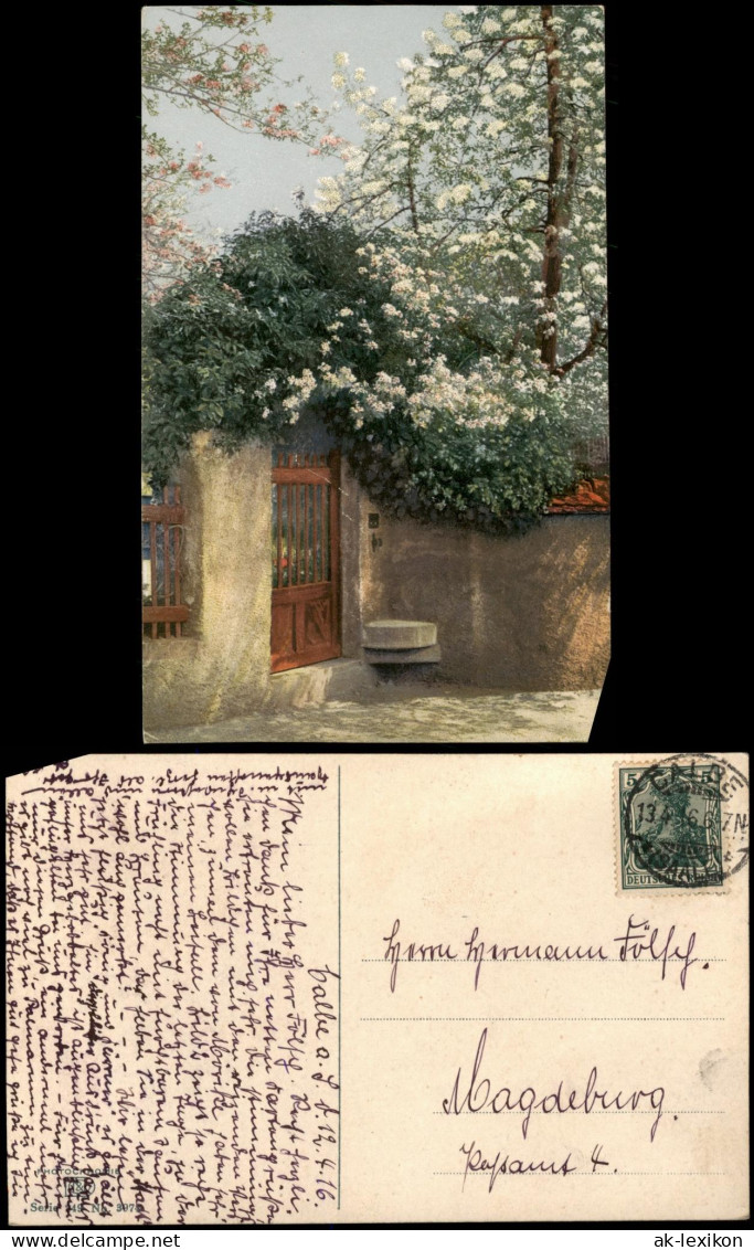 Ansichtskarte  Stimmungsbild: Frühling - Eingangspforte 1916 - Altri & Non Classificati