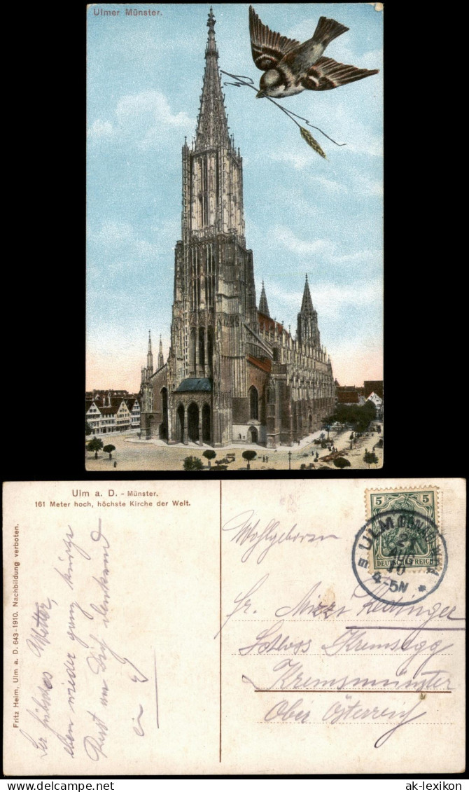 Ansichtskarte Ulm A. D. Donau Ulmer Münster, Spatz Mit ÄHRE 1910 - Ulm