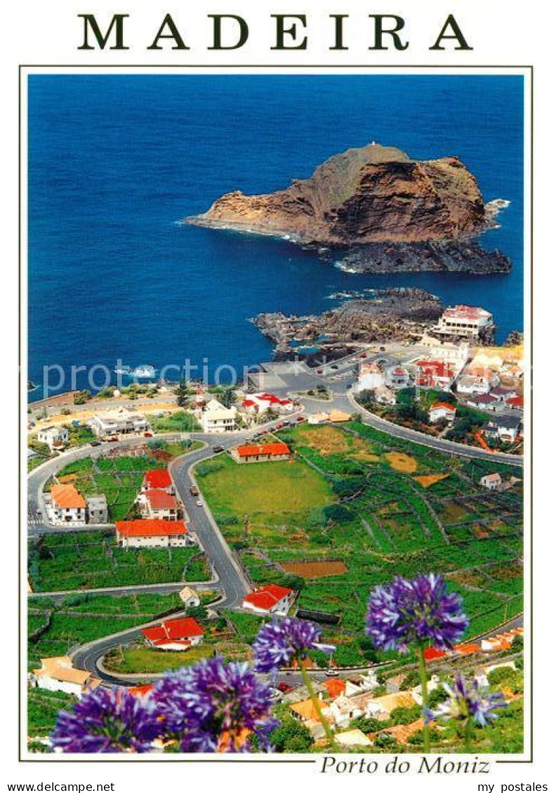 73358971 Porto Do Moniz Madeira  Portugal Fliegeraufnahme  - Sonstige & Ohne Zuordnung