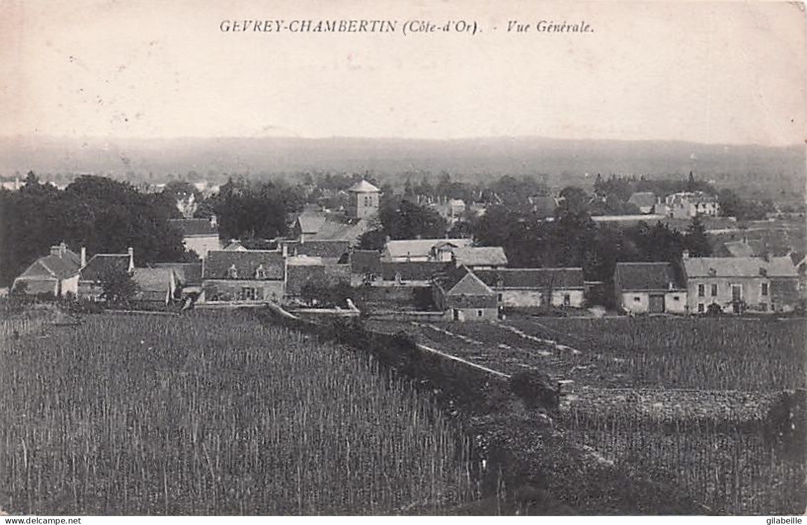 21 - GEVREY CHAMBERTIN - Vue Generale - Gevrey Chambertin
