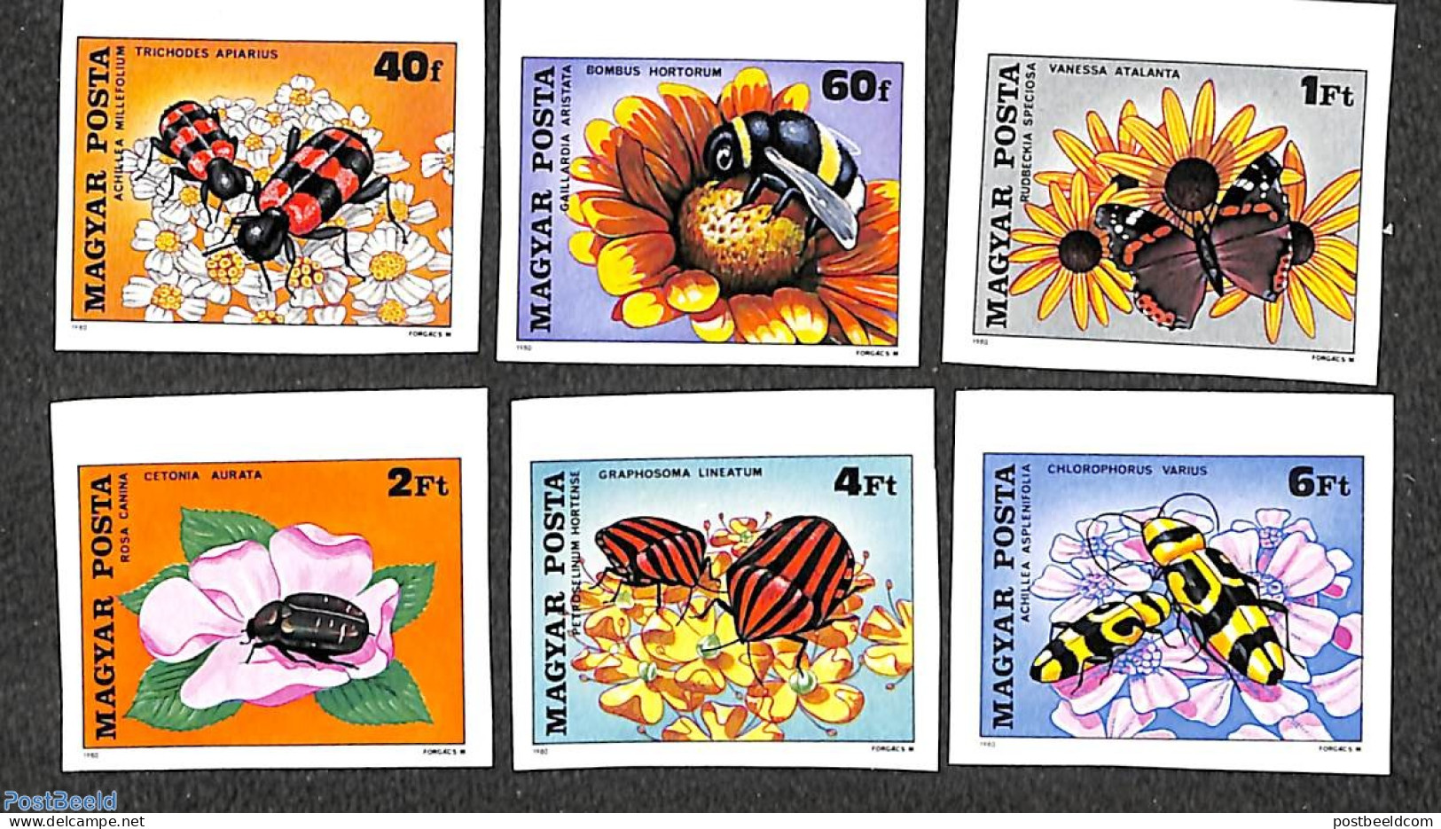 Hungary 1980 Flowers & Insects 6v Imperforated, Mint NH, Nature - Bees - Flowers & Plants - Insects - Ongebruikt