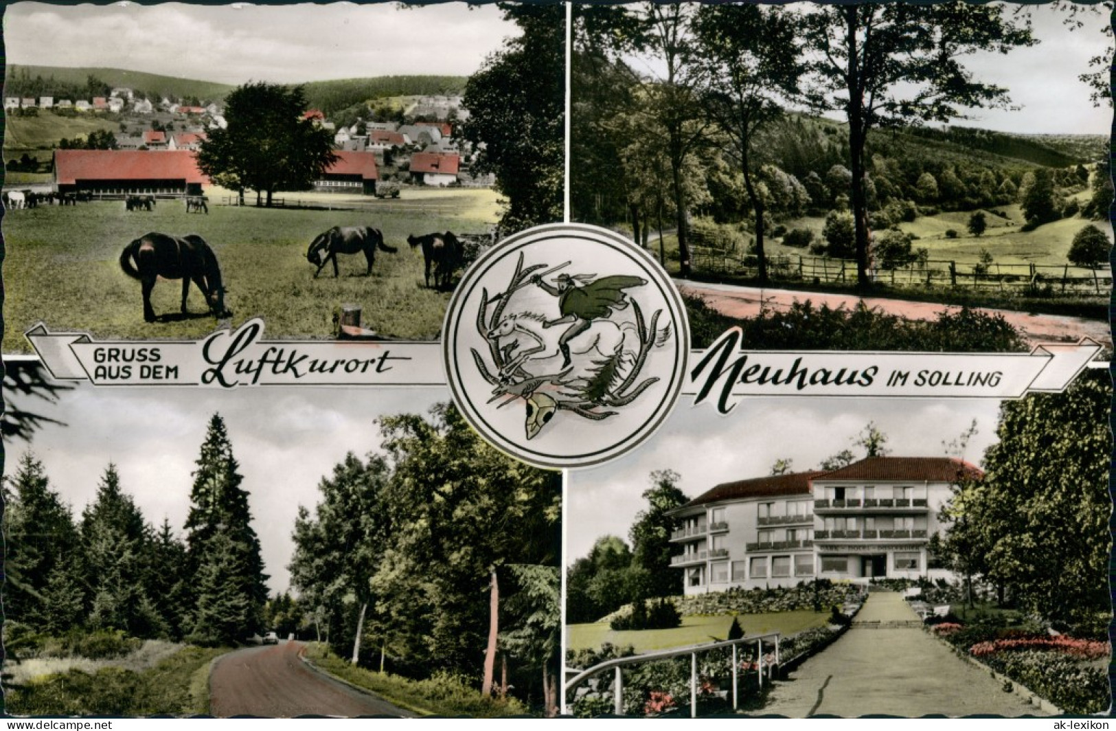 Neuhaus Im Solling-Holzminden 4 Bild. Stadtansichten - Colorierte Fotokarte 1963 - Holzminden