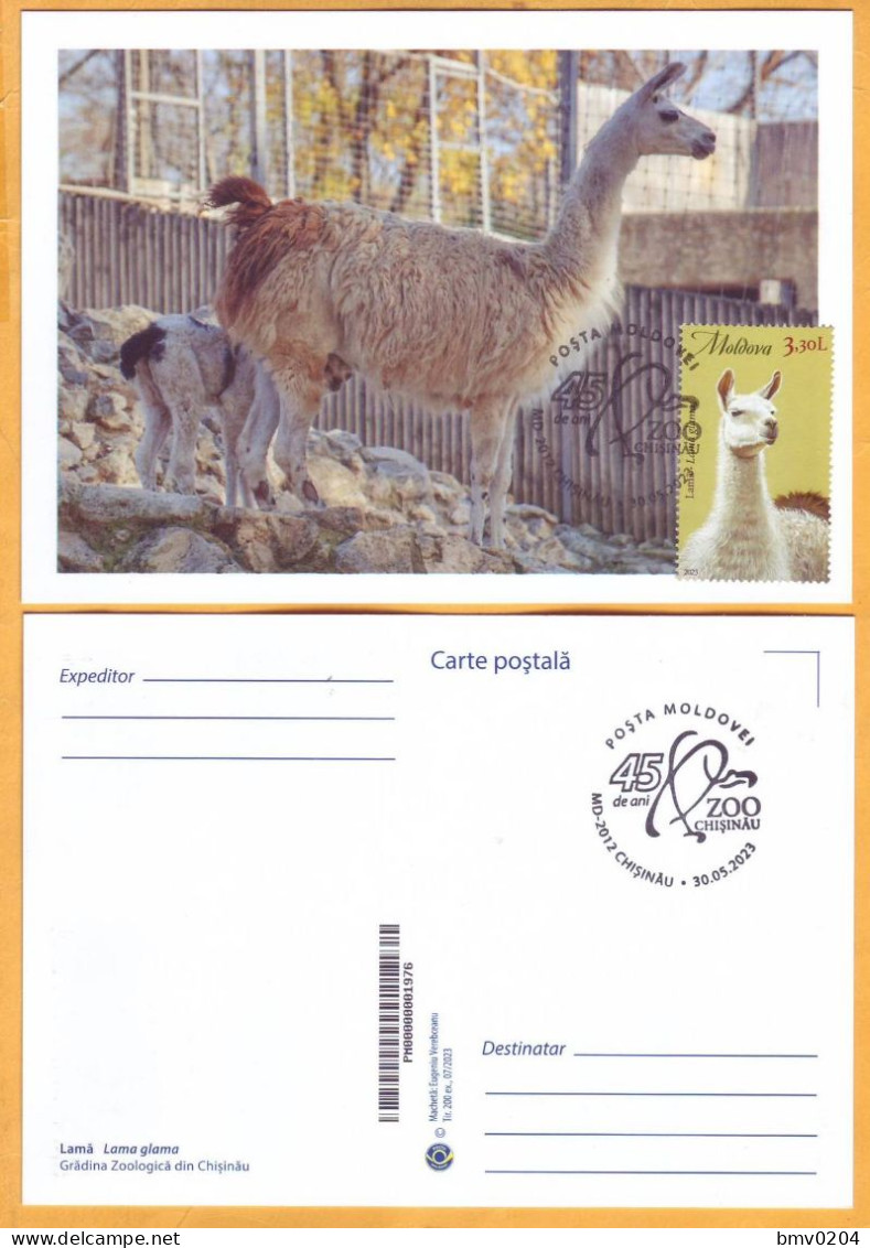 2023  Moldova MAXICARD „Faune. Chisinau Zoological Garden”  Llama (Lama Glama), 3,30 - Moldova