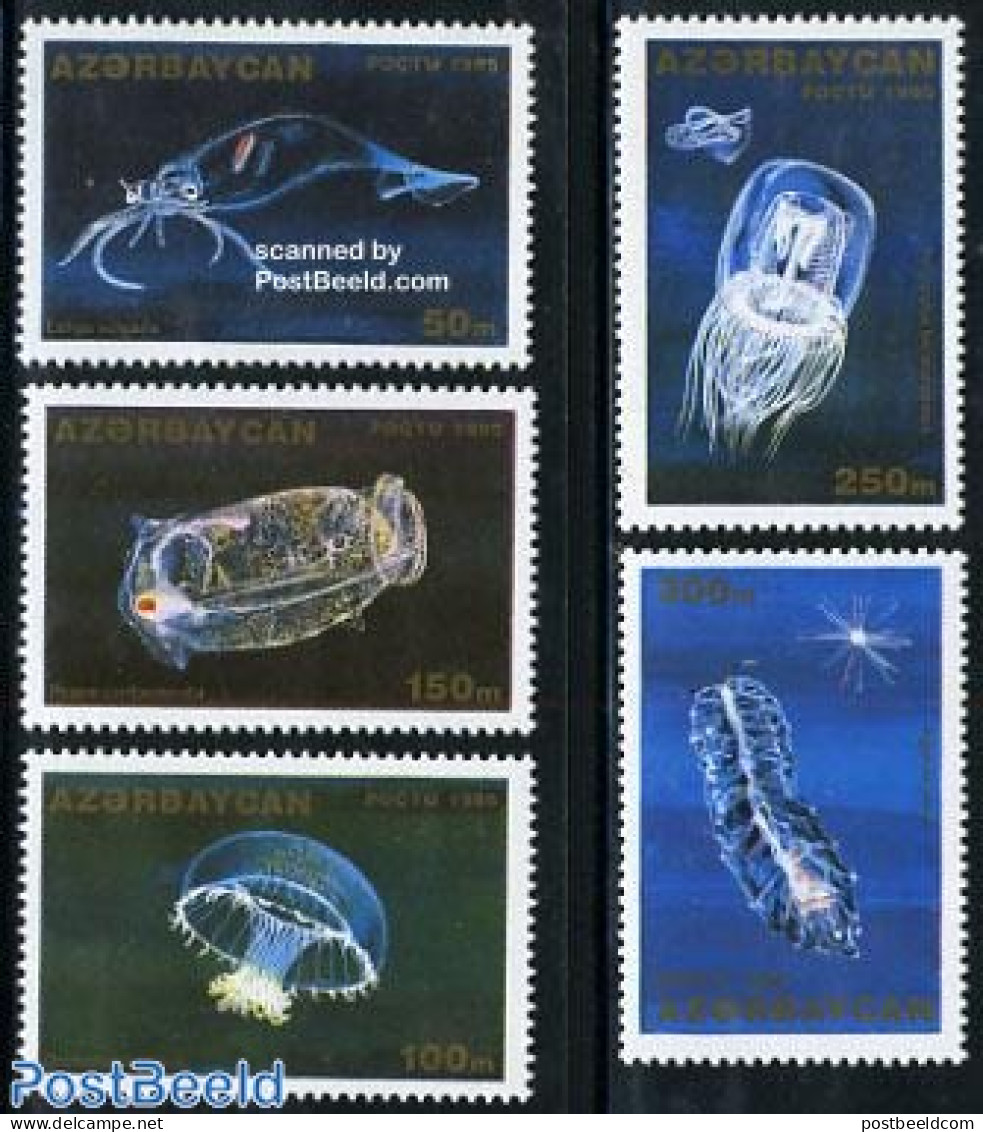 Azerbaijan 1995 Marine Life 5v, Mint NH, Nature - Shells & Crustaceans - Marine Life