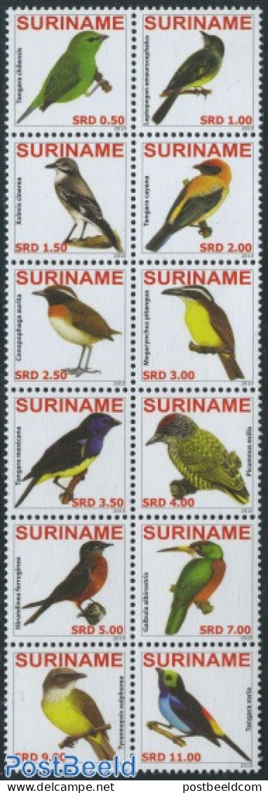 Suriname, Republic 2010 Birds 12v [+++++], Mint NH, Nature - Birds - Surinam