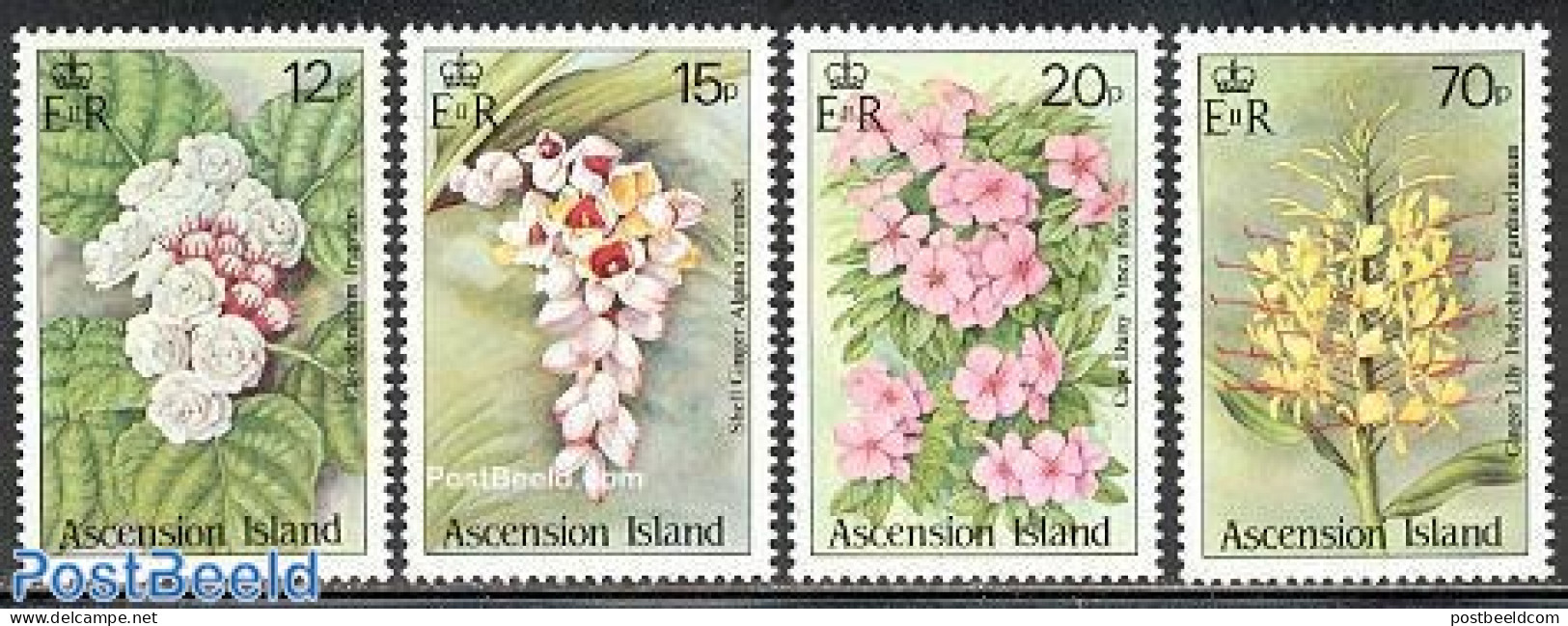 Ascension 1985 Wild Flowers 4v, Mint NH, Nature - Flowers & Plants - Ascension