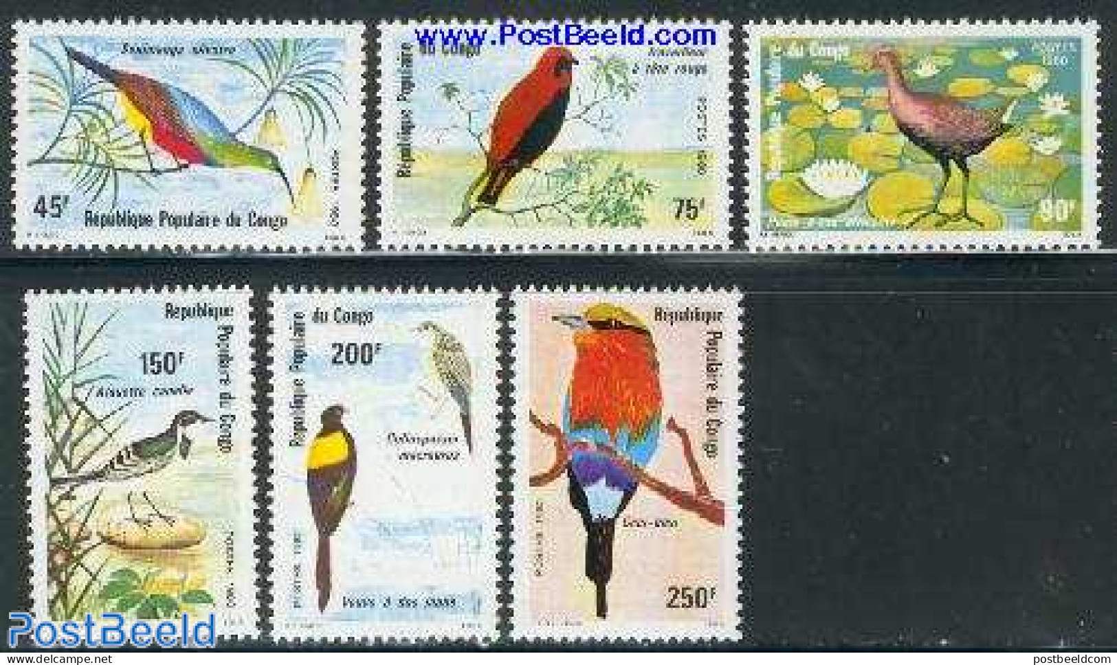 Congo Republic 1980 Birds 6v, Mint NH, Nature - Birds - Other & Unclassified