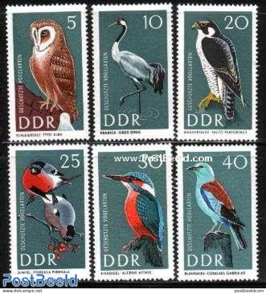 Germany, DDR 1967 Birds 6v, Mint NH, Nature - Birds - Birds Of Prey - Owls - Kingfishers - Nuevos